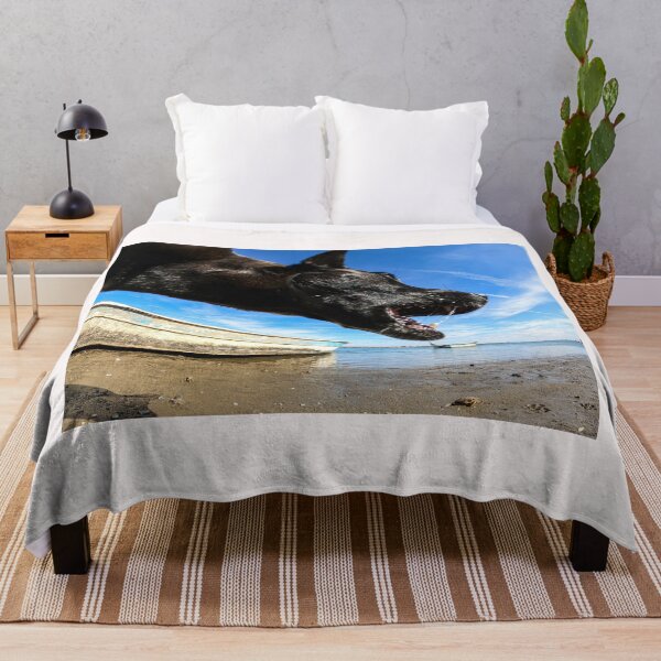 Item preview, A black dog on the beach and a panga or fishing boat from the La Cruz estuary in Kino viejo, Sonora, Mexico. The dog appears to eat the fishing boat and a pelican designed and sold by photo1979.