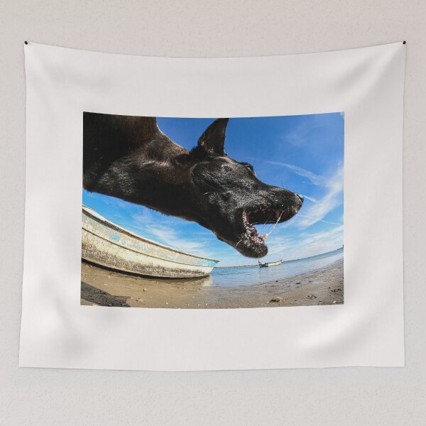 Aperçu de l'œuvre Un chien noir sur la plage et un panga ou bateau de pêche de l'estuaire de La Cruz à Kino viejo, Sonora, Mexique. Le chien semble manger le bateau de pêche et un pélican créée et vendue par photo1979.