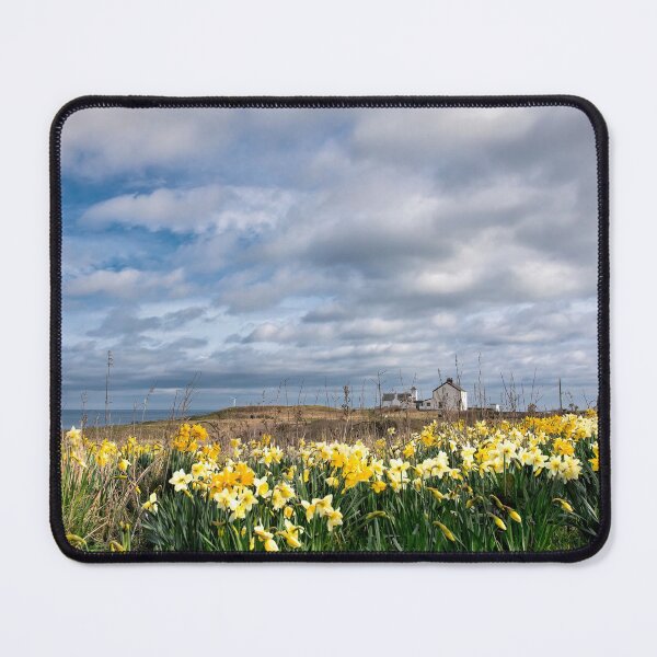 Item preview, Springtime at Seaton Sluice designed and sold by Violaman.