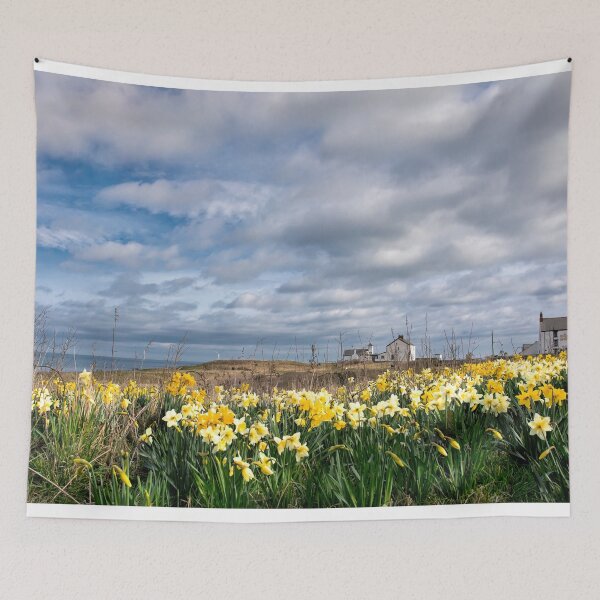 Item preview, Springtime at Seaton Sluice designed and sold by Violaman.