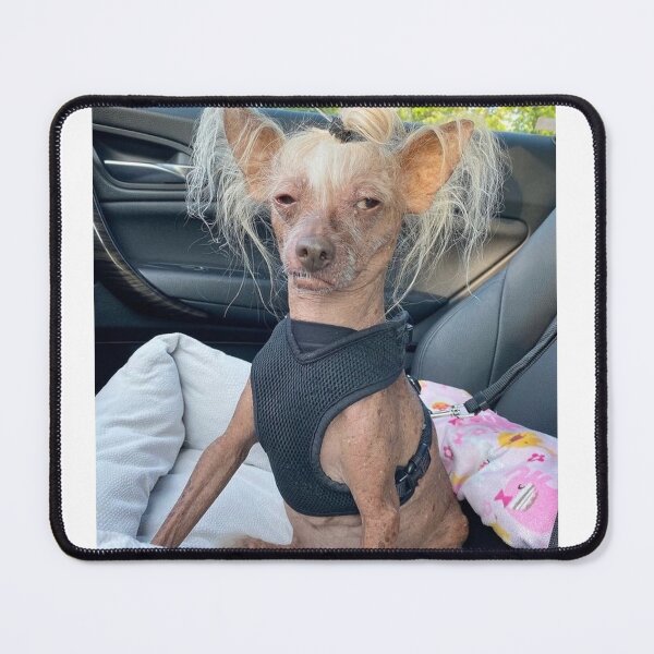 Item preview, Ugly Dog designed and sold by stephgio.