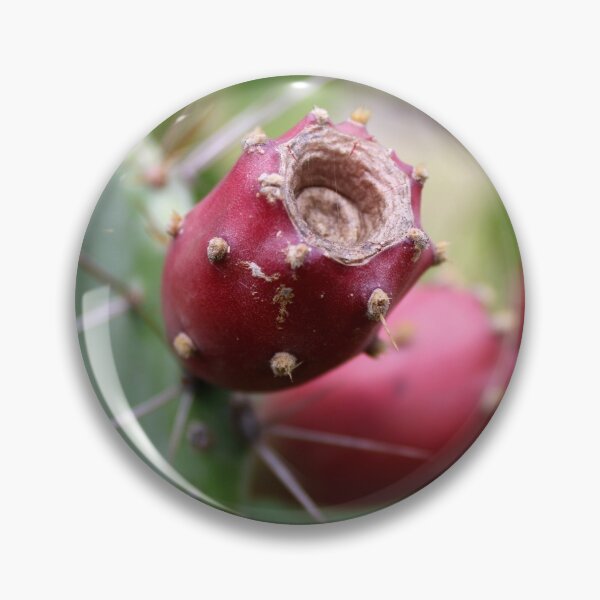 Item preview, Prickly Pear Fruits. designed and sold by VgBingi.