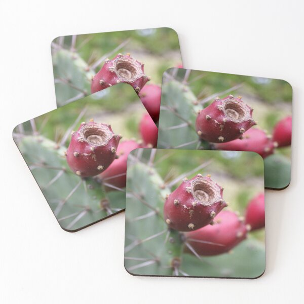 Item preview, Prickly Pear Fruits. designed and sold by VgBingi.