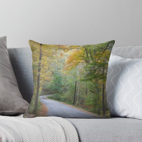 Item preview, INDIANA HIGHWAYS IN AUTUMN designed and sold by Pauline Evans.