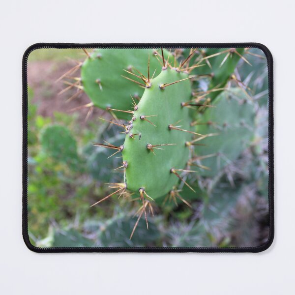 Item preview, Prickly Pear Pads. designed and sold by VgBingi.