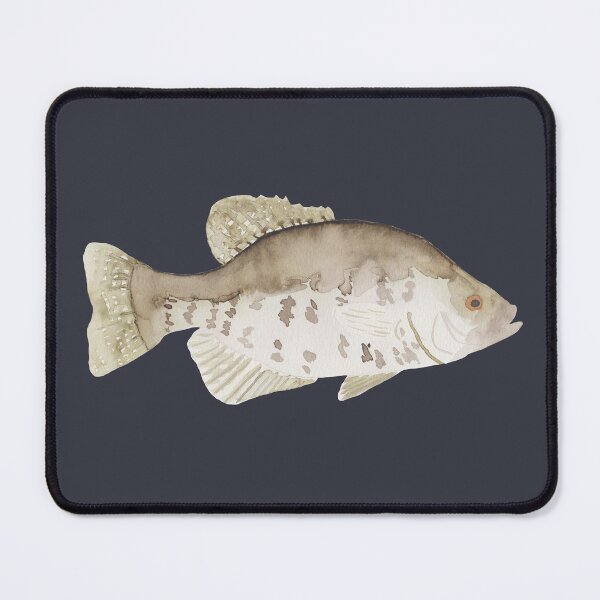 Item preview, White Crappie Fish Species watercolor animal art designed and sold by TheWaterBirds.