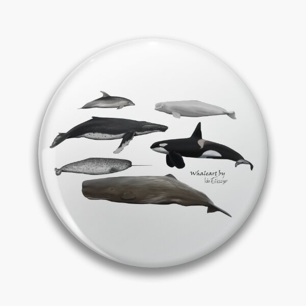 Item preview, Six species of cetaceans  designed and sold by Ida Eriksson.