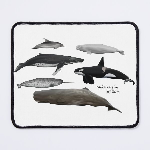 Item preview, Six species of cetaceans  designed and sold by Ida Eriksson.