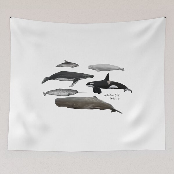 Item preview, Six species of cetaceans  designed and sold by Ida Eriksson.