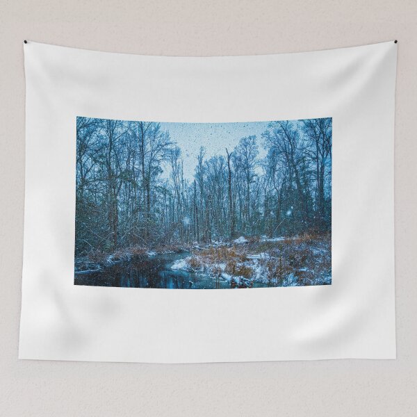Item preview, January Snow Day designed and sold by GestaltImagery.