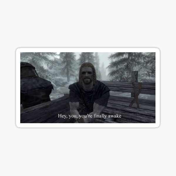 Skyrim Hey You Youre Finally Awake Stickers Redbubble