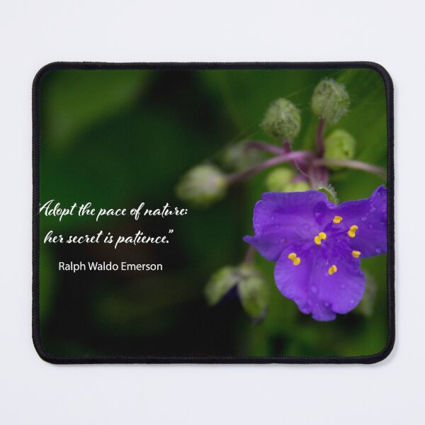 Item preview, Patience of Nature designed and sold by nbrandsberg.