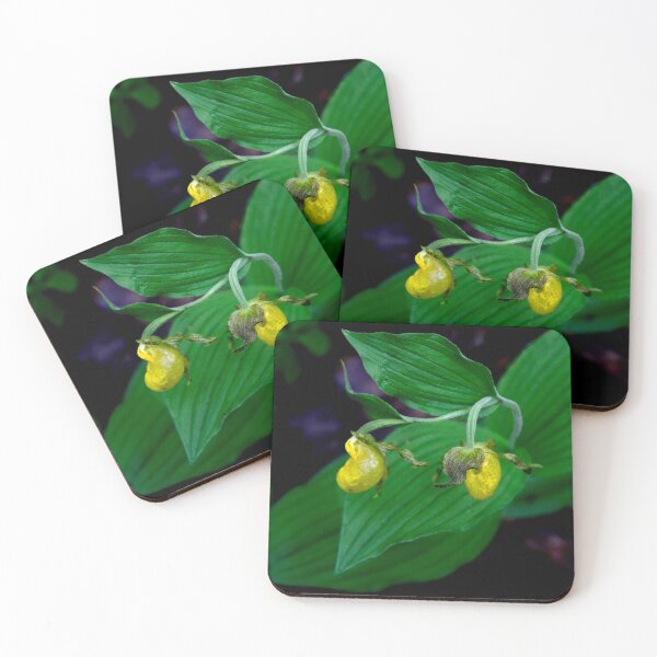 Item preview, Yellow Lady Slipper 1 designed and sold by nbrandsberg.