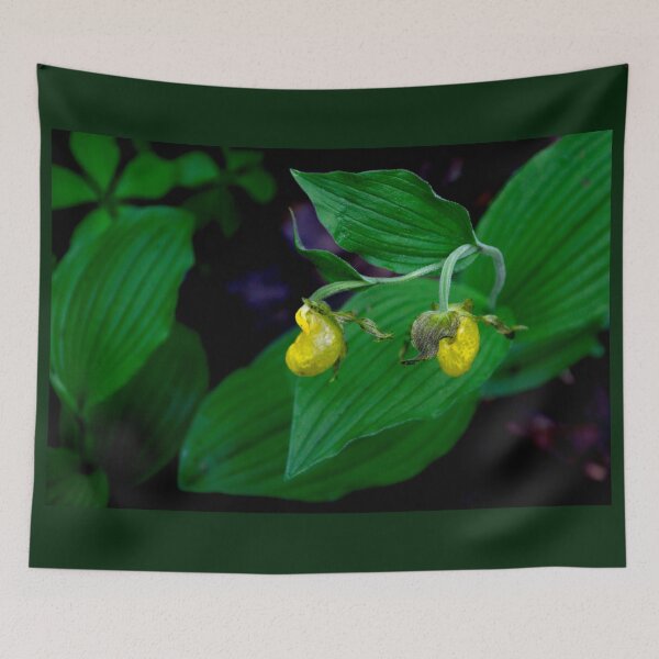 Item preview, Yellow Lady Slipper 1 designed and sold by nbrandsberg.