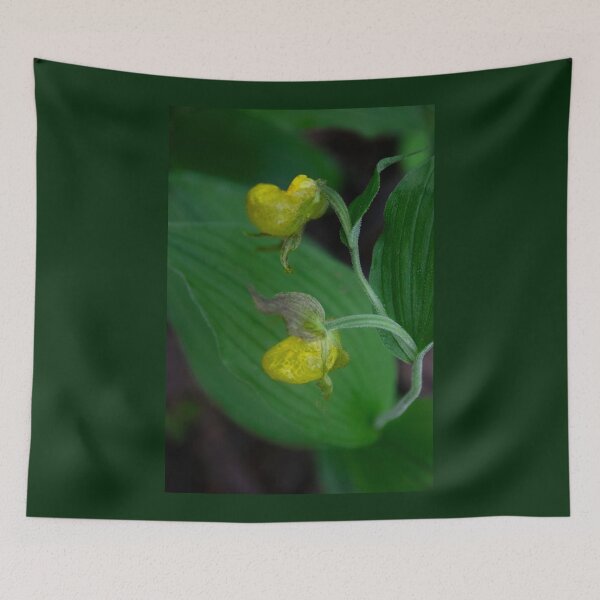Item preview, Yellow Lady Slipper designed and sold by nbrandsberg.