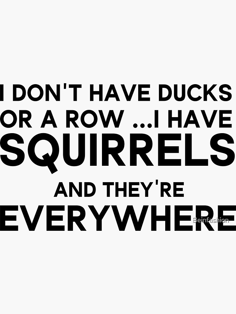 I Dont Have Ducks Or A Row I Have Squirrels And They Are Everywhere Sticker For Sale By 