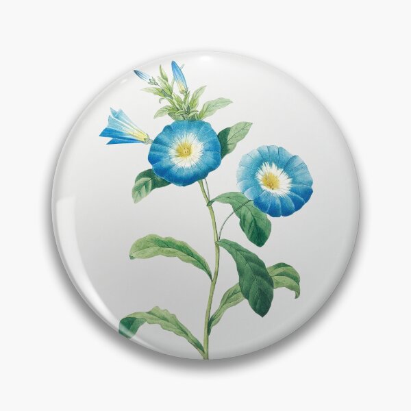 Item preview, Bindweed Flower- Botanical Illustration designed and sold by opptop.