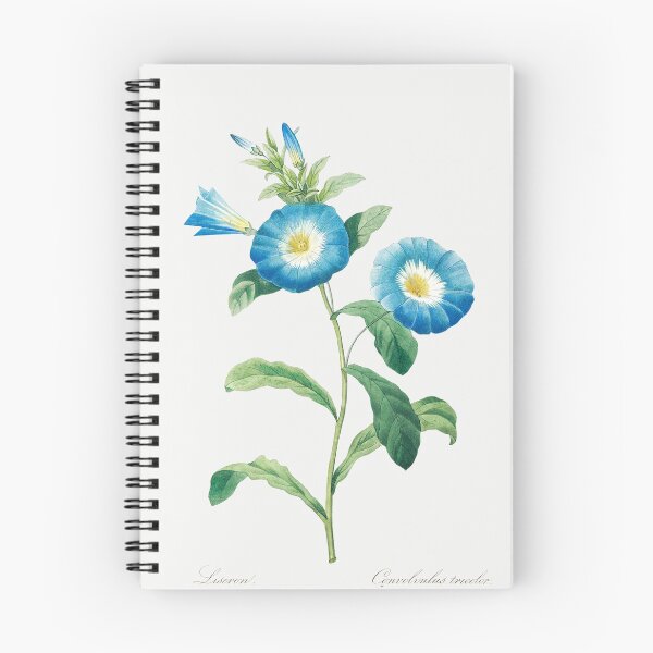 Item preview, Bindweed Flower- Botanical Illustration designed and sold by opptop.
