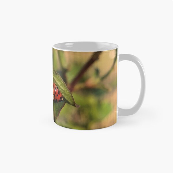 Aperçu de l'œuvre Amour de coccinelle créée et vendue par LeilaneDesigns.