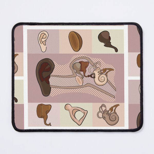 Item preview, Outer, Middle, and Inner Ear Anatomy Neutral Illustration  designed and sold by StacyAnnDesigns.