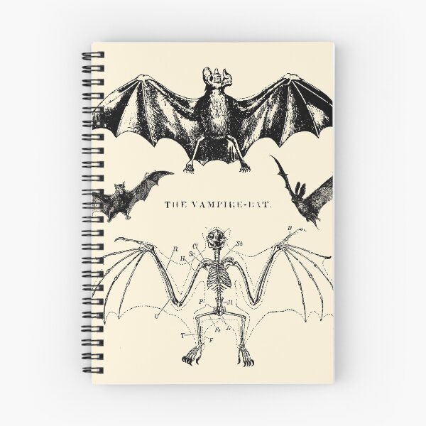 Item preview, The Vampire Bat, Collection of Vintage Bat Illustrations designed and sold by PlentyEntities.