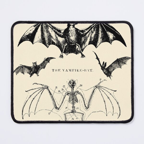 Item preview, The Vampire Bat, Collection of Vintage Bat Illustrations designed and sold by PlentyEntities.