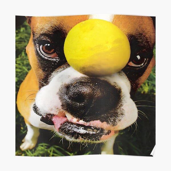 Snot Get Some Cover Artwork Poster