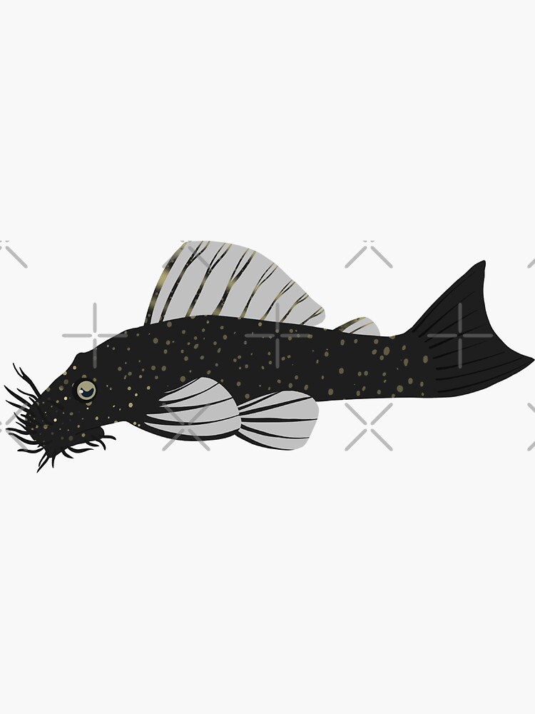 Thumbnail 3 of 3, Sticker, Bristlenose Pleco designed and sold by shiinzi.