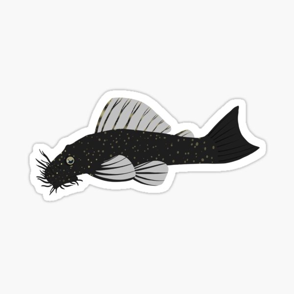 Item preview, Bristlenose Pleco designed and sold by shiinzi.
