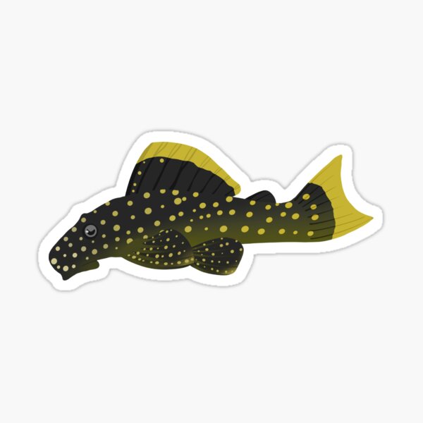 Vista previa del artículo con la obra «Pleco pepita de oro (B. xanthellus L018)», diseñado y vendido por shiinzi.