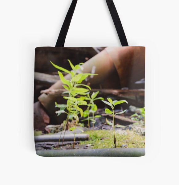 Item preview.