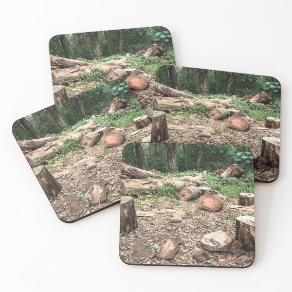 Item preview, clearing. designed and sold by Nino rocha fotografia.