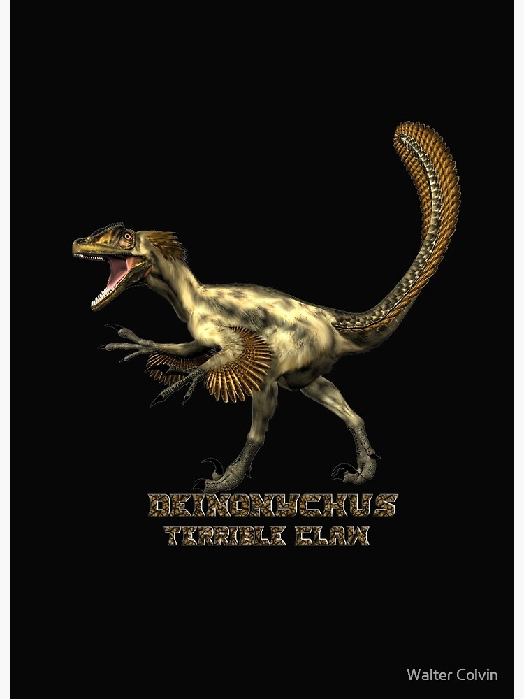 The Terrible Claw: Facts About Deinonychus