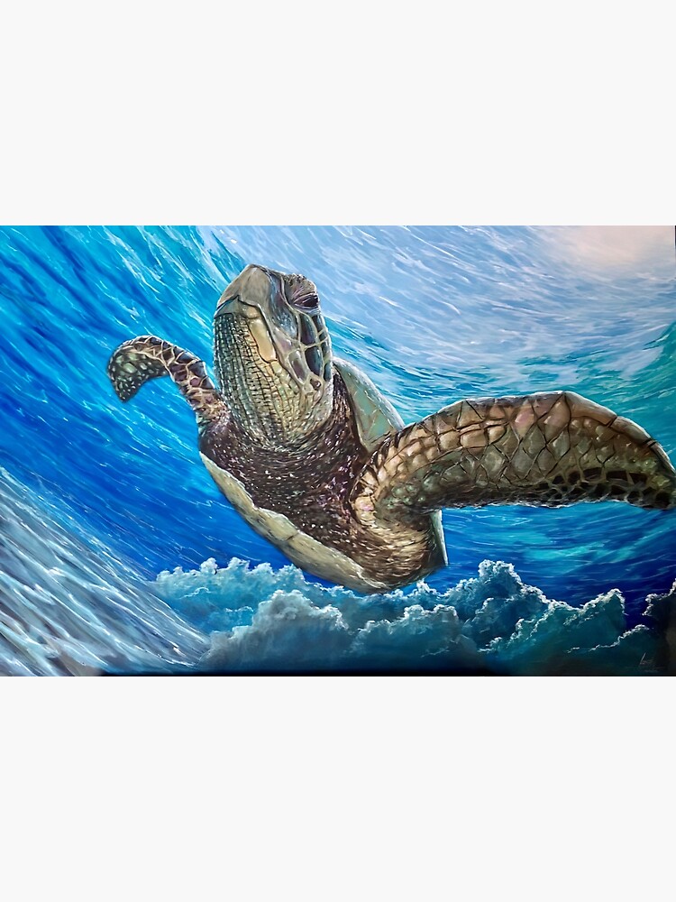 Sea turtle underwater, Sea turtle art, Sea turtle painting, Sea