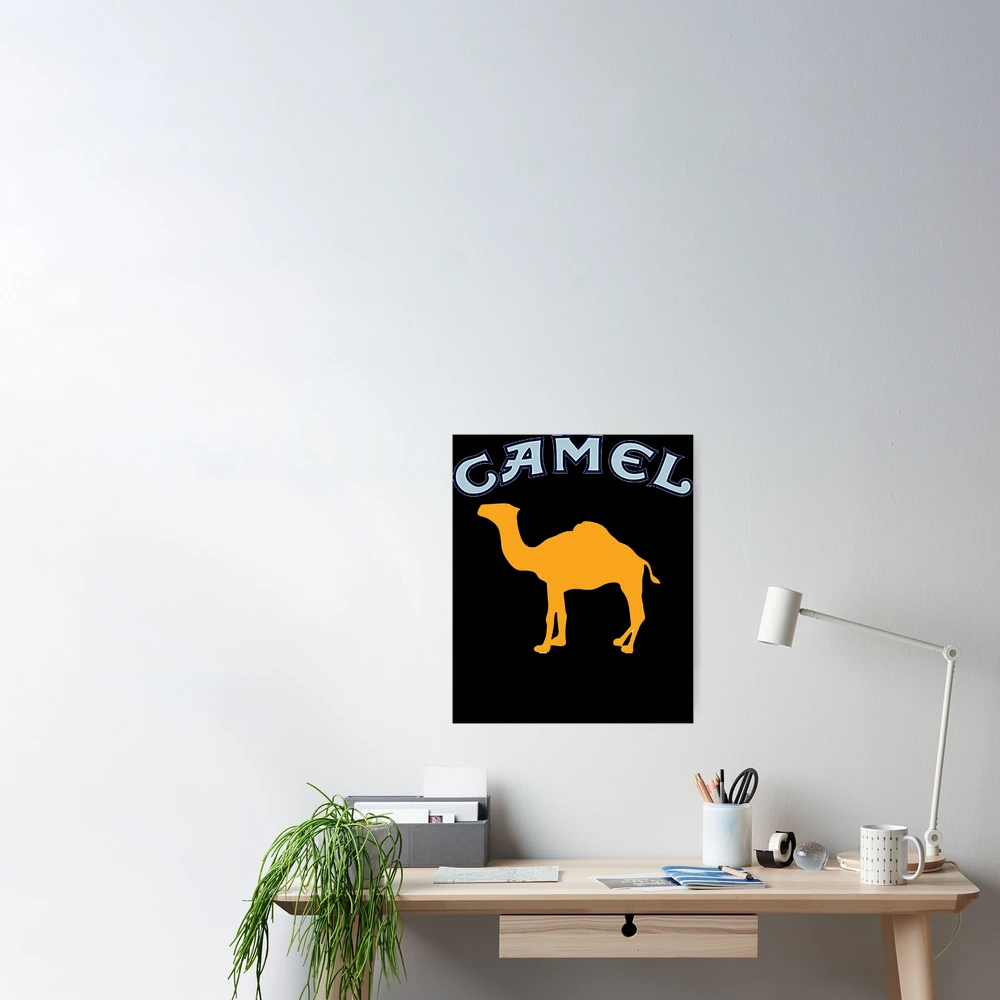 Camel simple logo icon design Royalty Free Vector Image