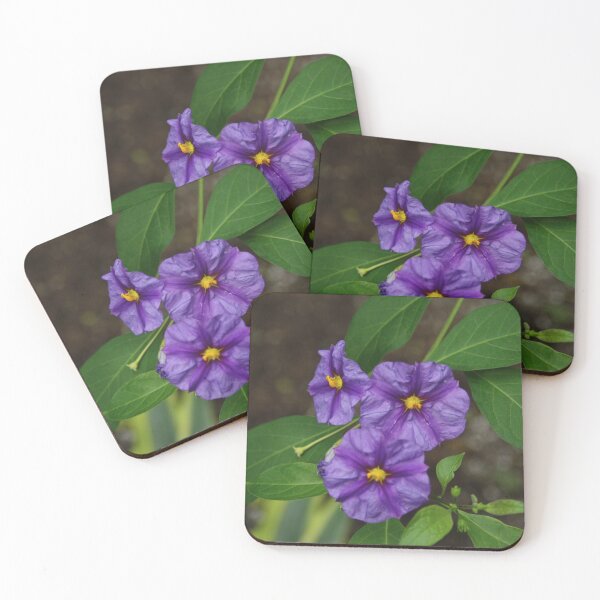 Item preview, Blue Potato Bush designed and sold by Alyce Taylor.