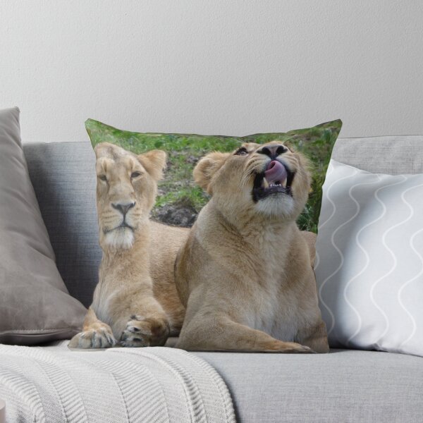 Item preview, So tiring watching humans designed and sold by Sandra Willis.
