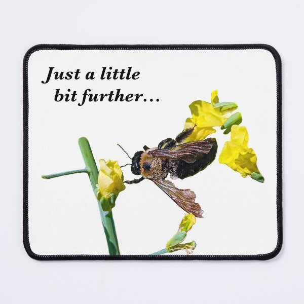 Item preview, Eastern Carpenter Bee - Just a little further... designed and sold by BugNews.