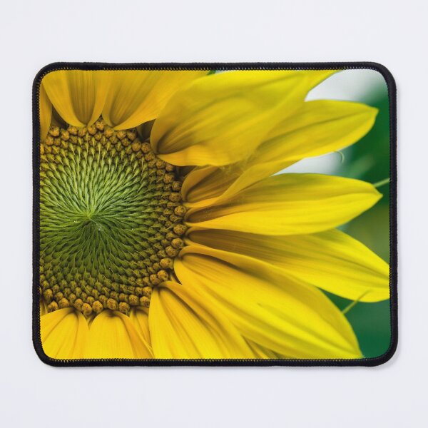 Item preview, Sunflower designed and sold by newburyboutique.
