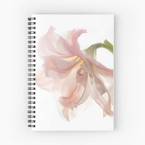 Artikelvorschau, AMARYLLIS entworfen und verkauft von Sandra Belitza-Vazquez.