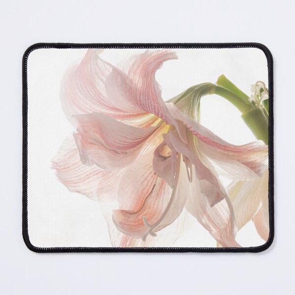 Item preview, AMARYLLIS designed and sold by Sandra Belitza-Vazquez.