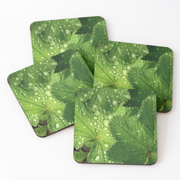 Item preview, LADY'S MANTLE designed and sold by Sandra Belitza-Vazquez.