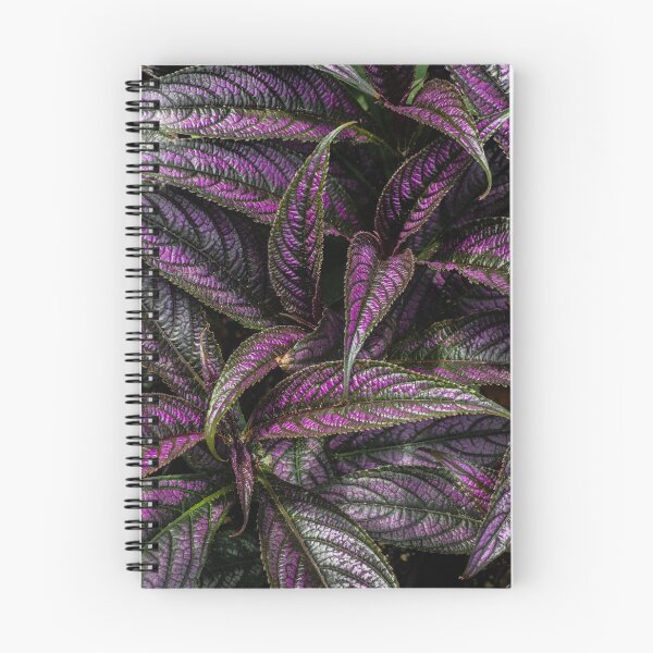 Item preview, PERSIAN SHIELD designed and sold by Sandra Belitza-Vazquez.