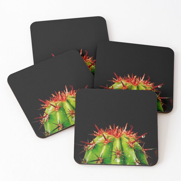Item preview, Top of the Catus to Ya! ~ photography  designed and sold by ArtbyMparrish .