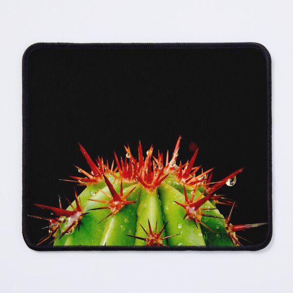 Item preview, Top of the Catus to Ya! ~ photography designed and sold by ArtbyMparrish .