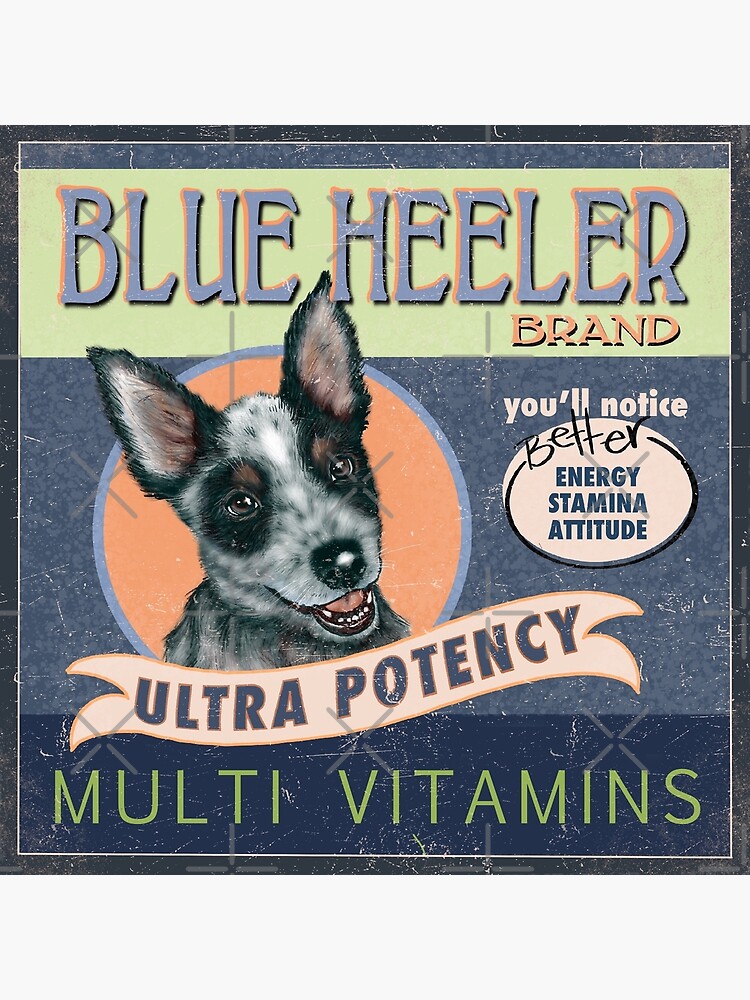 Disover Blue Heeler brand vitamins Premium Matte Vertical Poster