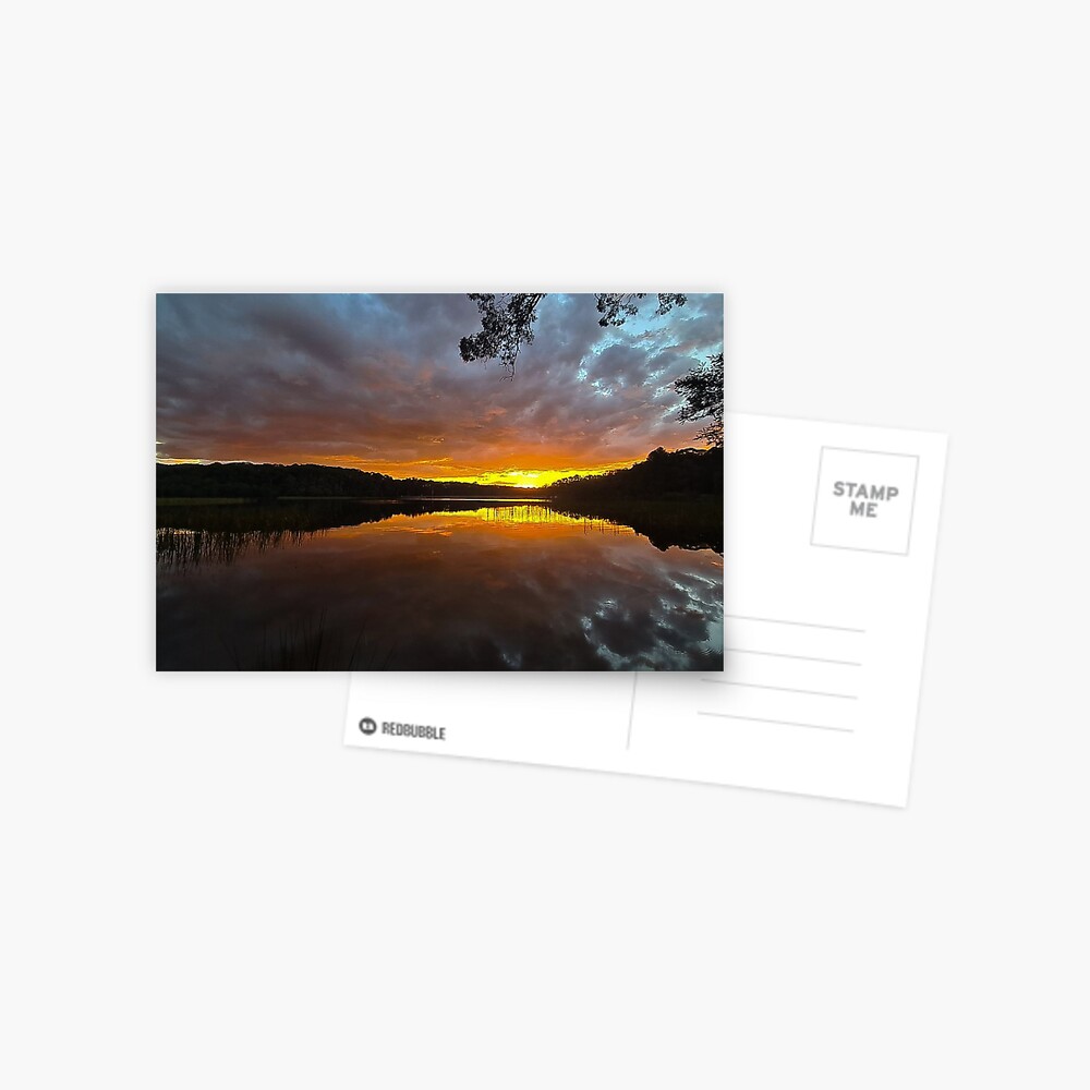 Item preview, Postcard designed and sold by scar.