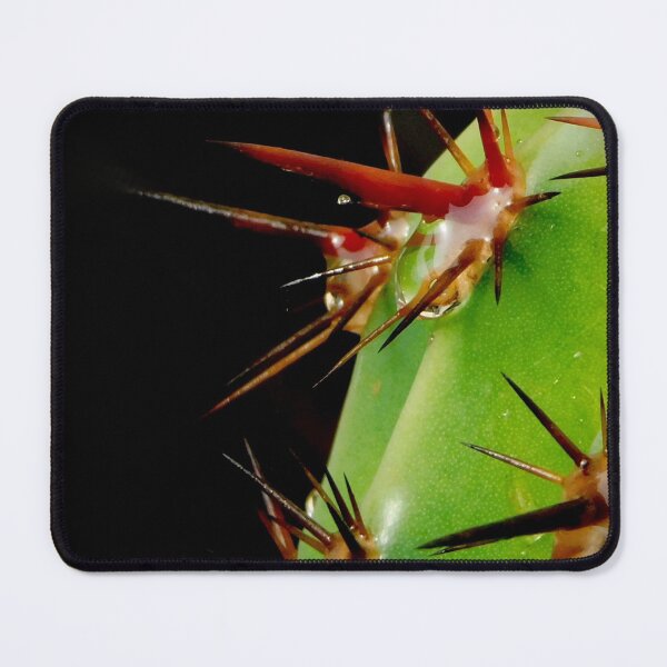 Item preview, After the rain Cactus~Macro Photo designed and sold by ArtbyMparrish .