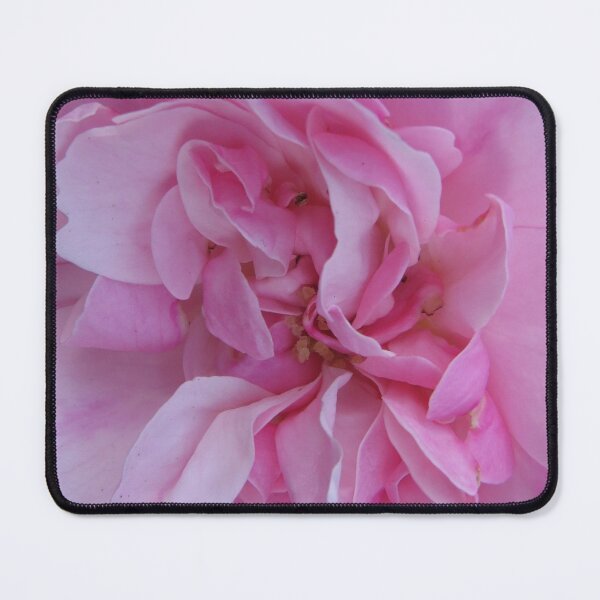 Item preview, Soft Pink Rose designed and sold by Honey Myrtle Studio.