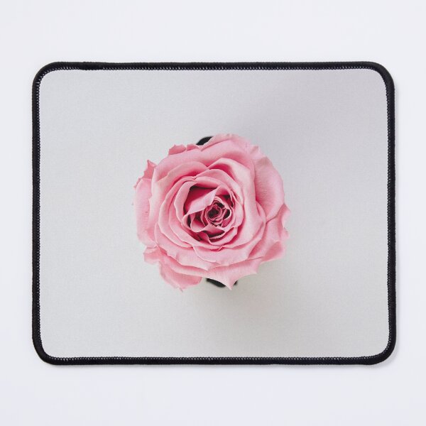 Item preview, Beautiful Blush Pink Rose designed and sold by newburyboutique.
